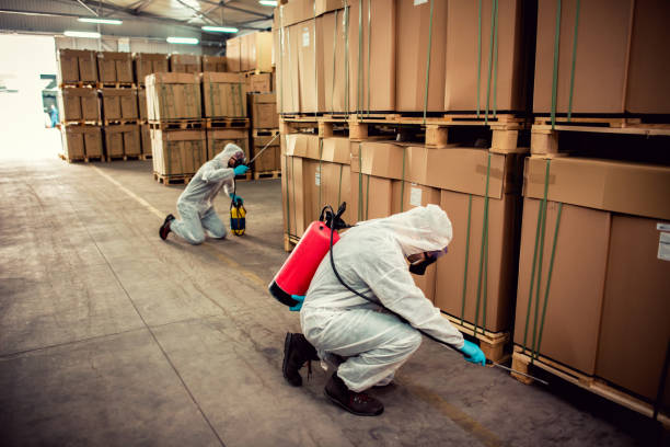 Best Local Pest Control Services  in Brownville, NJ