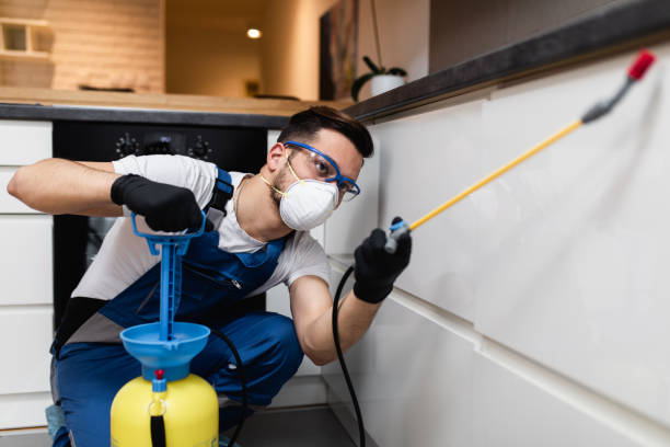 Best Best Pest Control Near Me  in Brownville, NJ