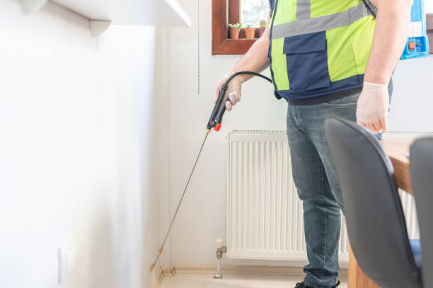 Reliable Brownville, NJ Pest Control Solutions