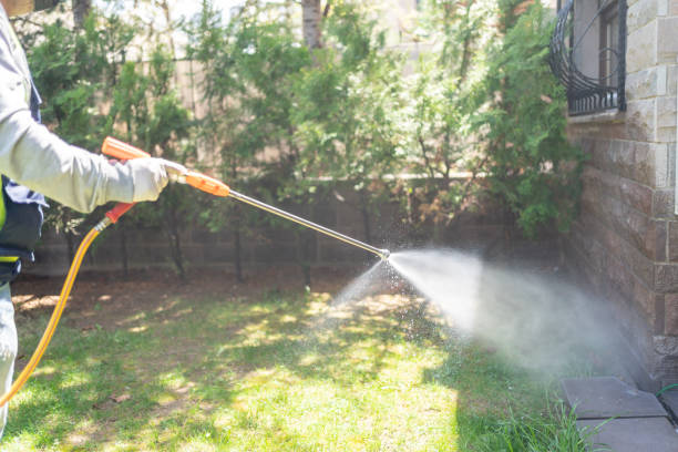 Best Wasp Removal Services  in Brownville, NJ