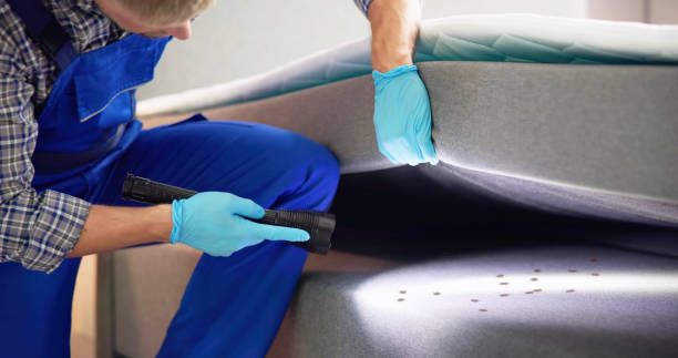 Wasp Removal Services in Brownville, NJ