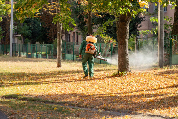 Pest Control Cost in Brownville, NJ