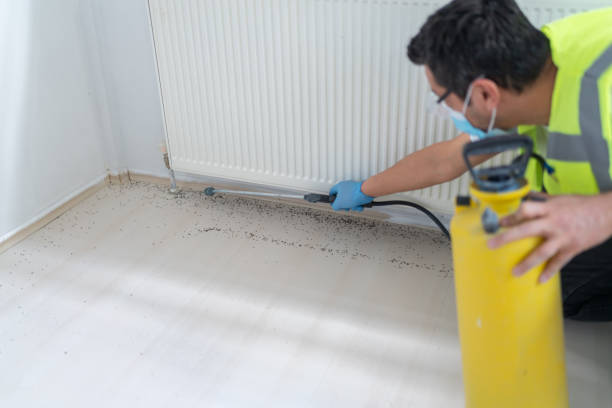 Best Pest Control Cost  in Brownville, NJ
